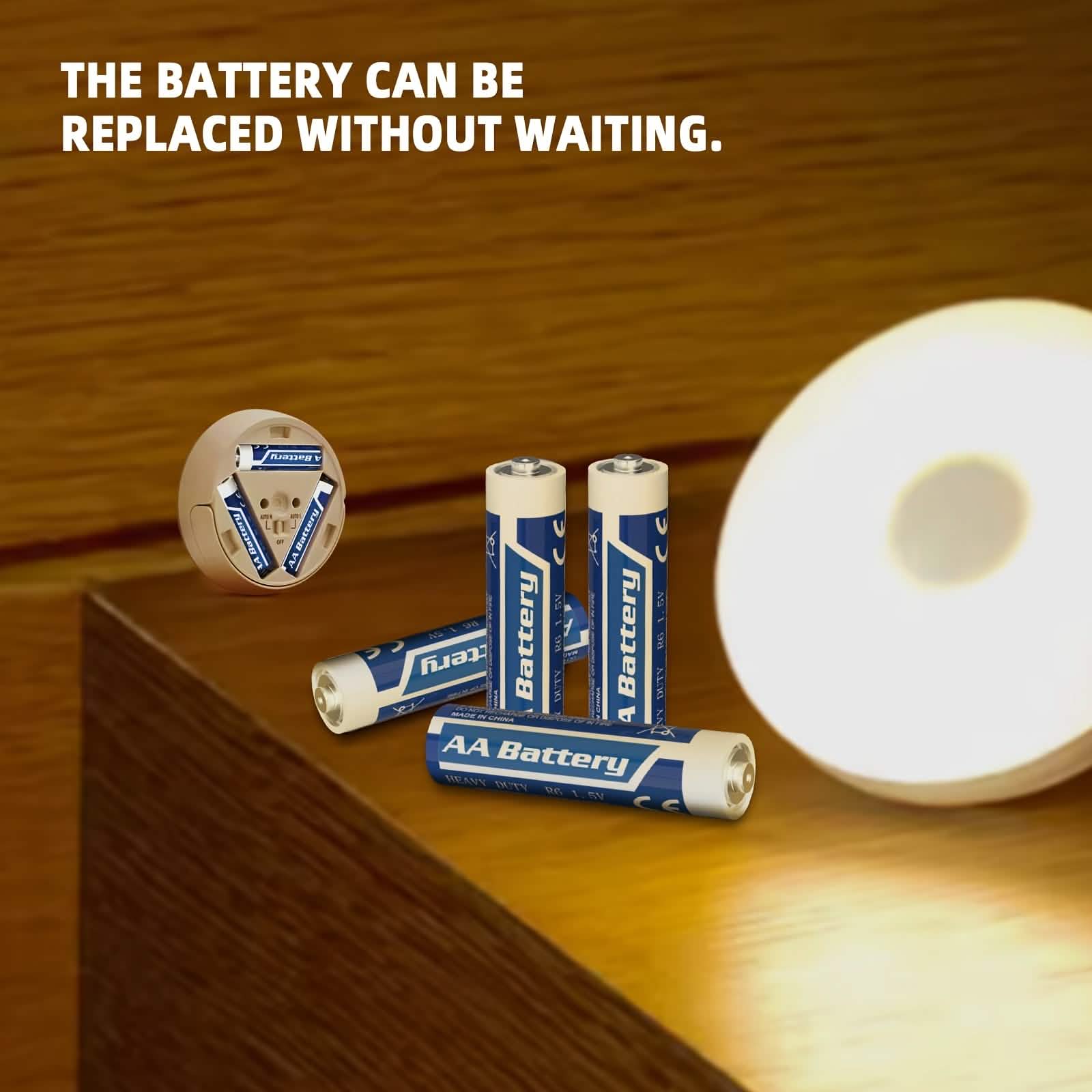 48-Pack: AA + AAA Carbon Battery Combo